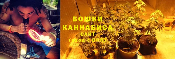 сатива Верхнеуральск